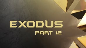 Exodus Part 12: Chuck McInturf