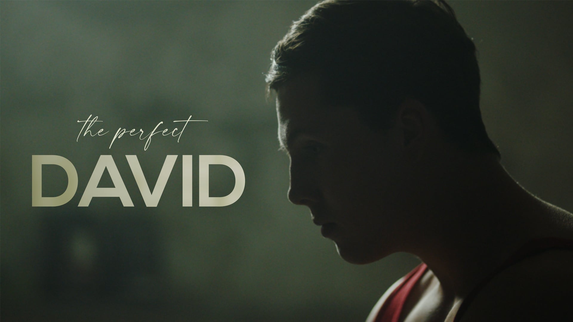 Perfect david