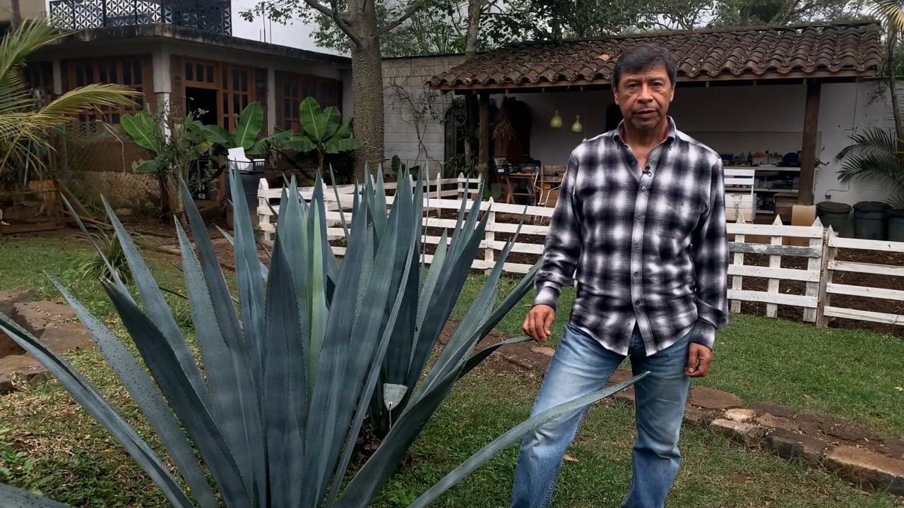 Huerto con Ecotecnias