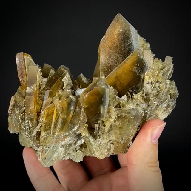 Baryte (rare early 2000s finds - 2 generations) Reynolds Coll.