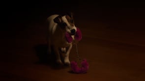 Related Embedded Video Item Thumbnail