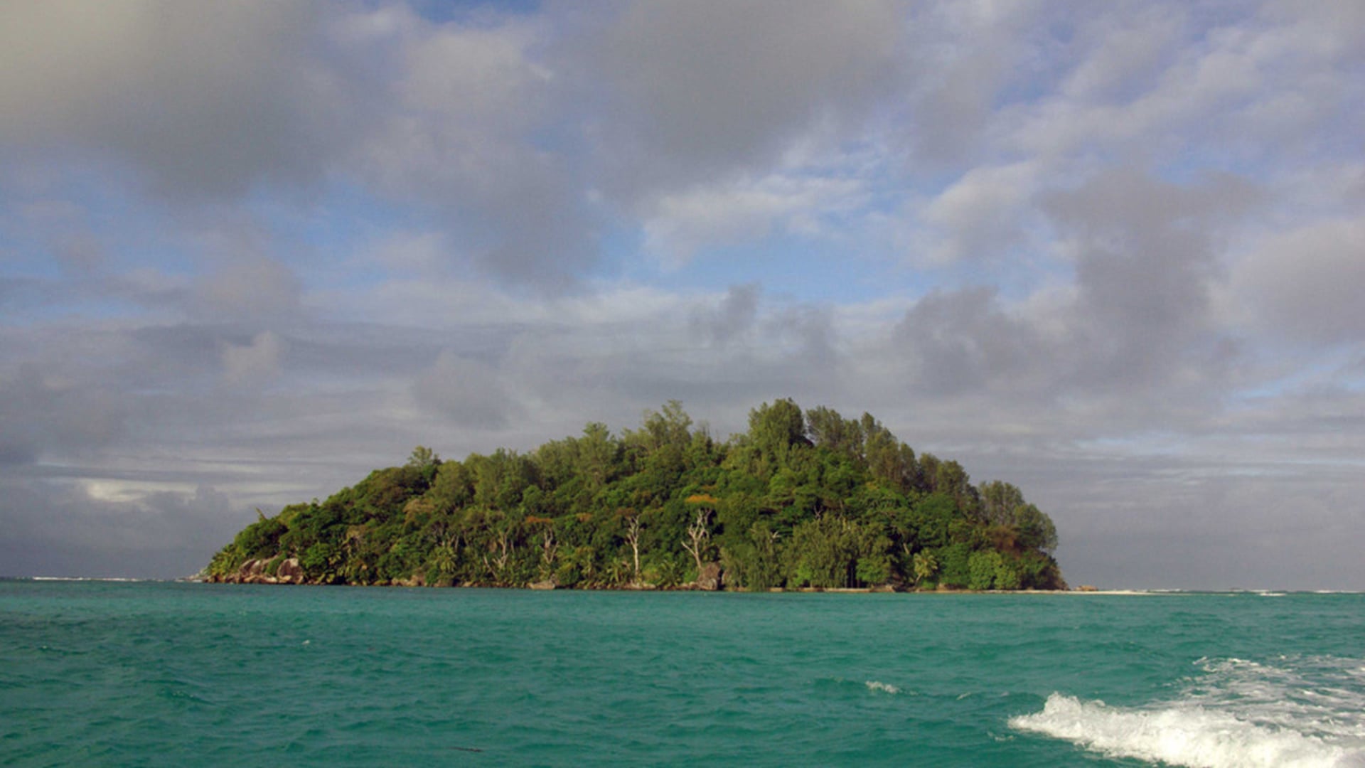 A Grain of Sand (2009) DOCUMENTARY