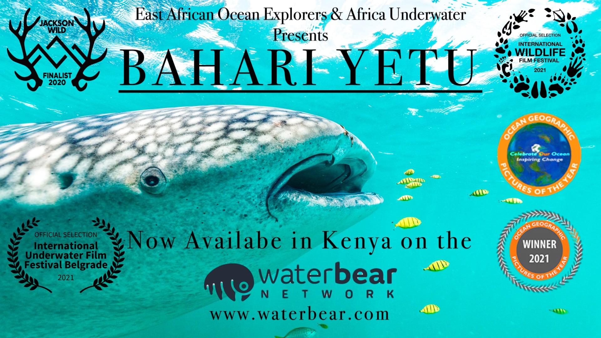 Bahari Yetu (Our Ocean) - Teaser (Coming in 2020)