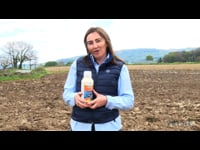 Capreno, nueva solución herbicida