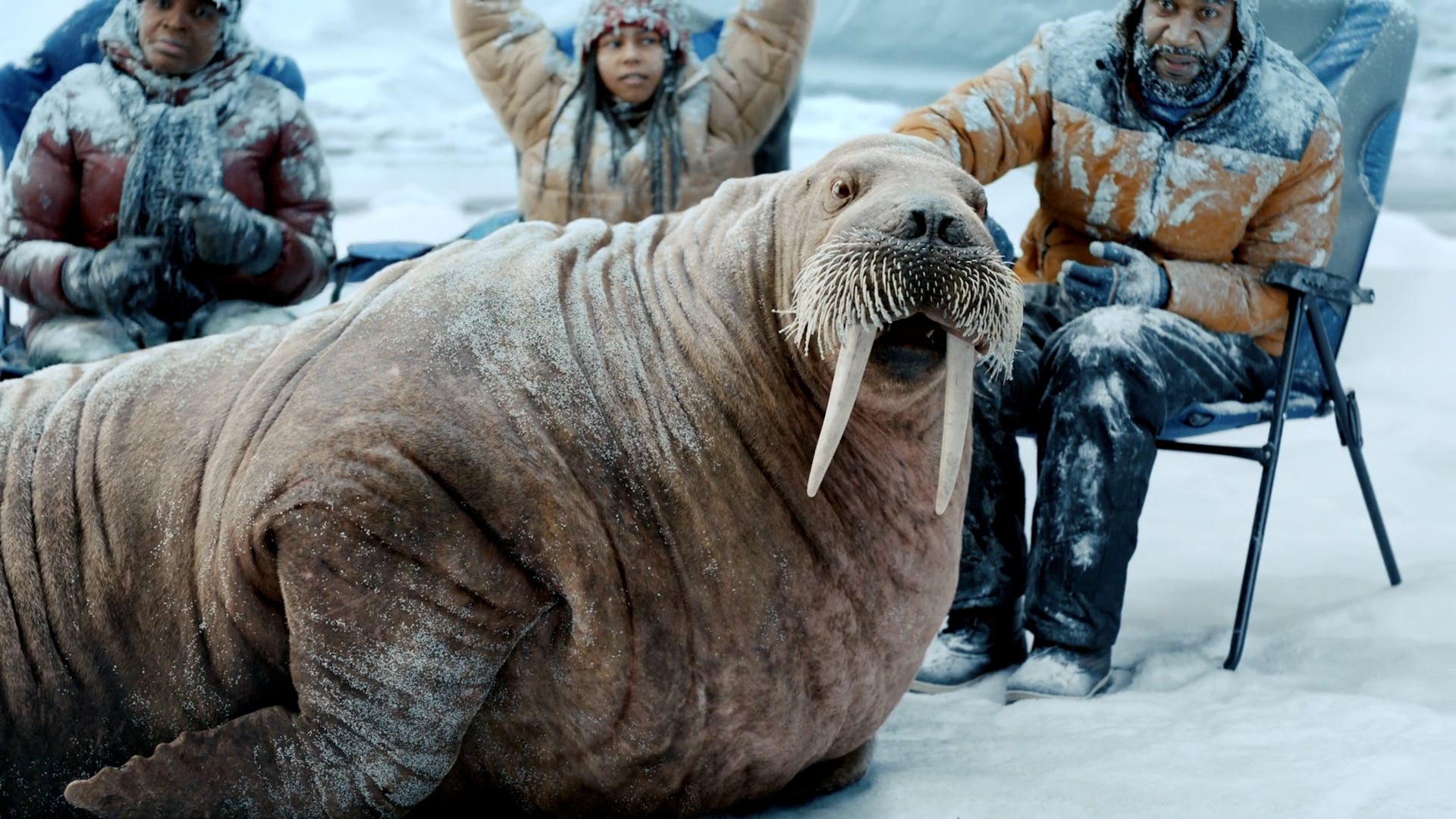 Do Good Chicken "Walrus" by Greg Bell