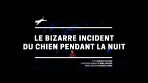 vignette de Extrait - Le bizarre incident du chien pendant la nuit