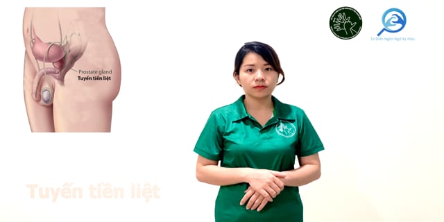 tuyen-tien-liet-7730