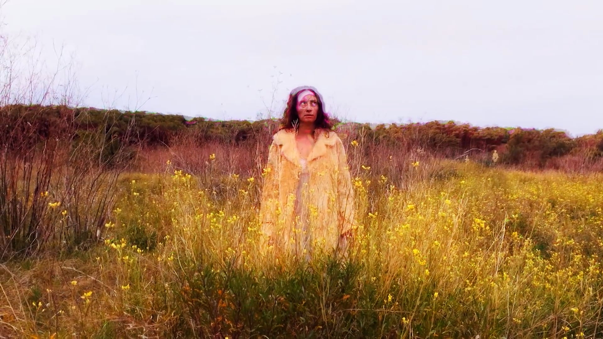 La Naturaleza del Misterio (trailer)