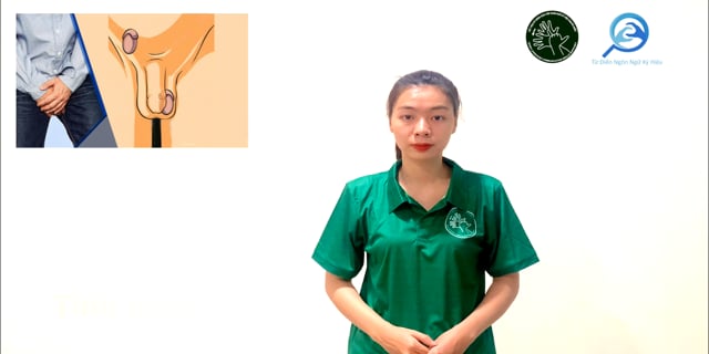tinh-hoan-an-7720