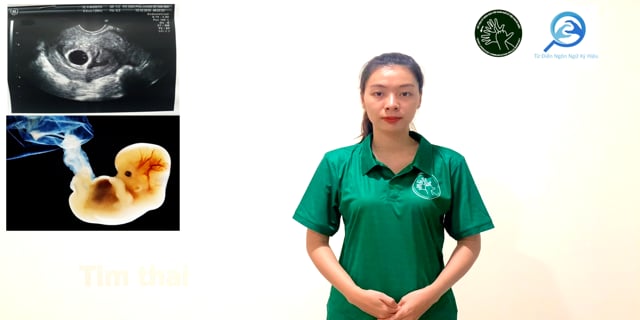 tim-thai-7718
