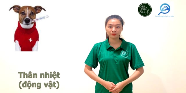 than-nhiet-dong-vat-7699