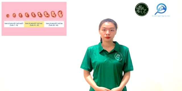 tam-ca-nguyet-7689