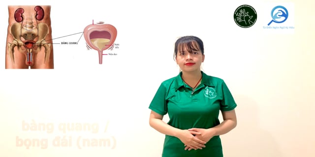 bang-quang-nam-7512