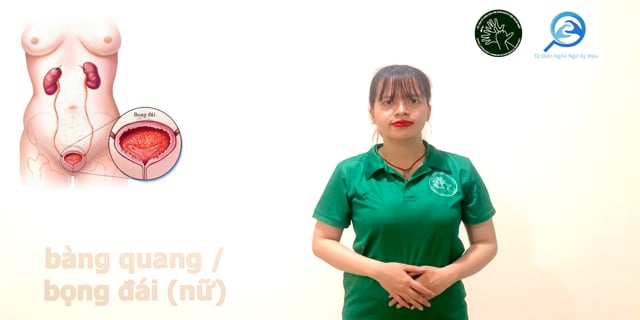 bang-quang-nu-7513