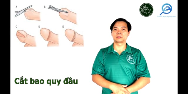 cat-bao-quy-dau-7535