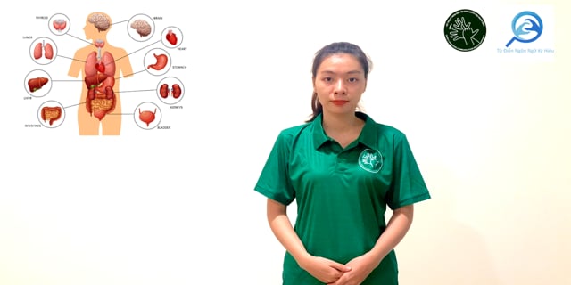 co-quan-co-the-7548