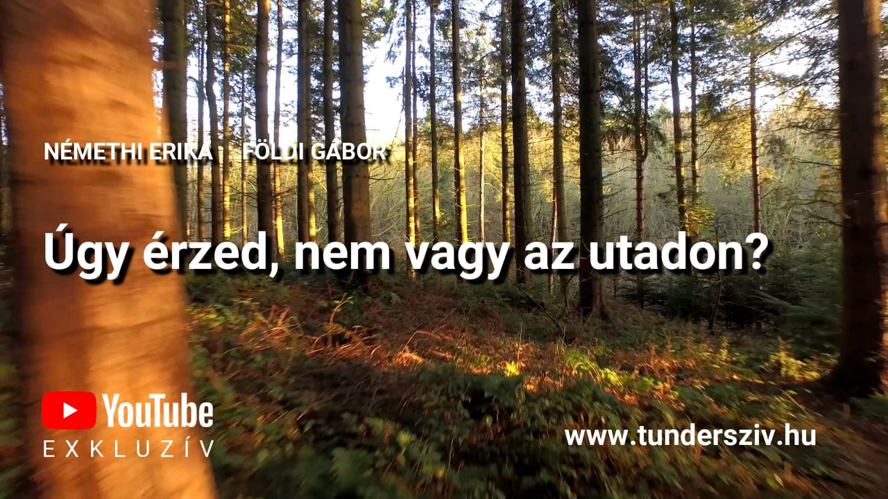 Úgy érzed, nem vagy az utadon?