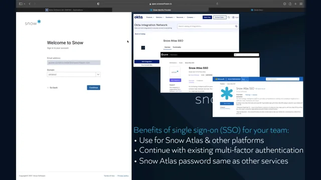Snow Optimizer for SAP® Software - Snow Software