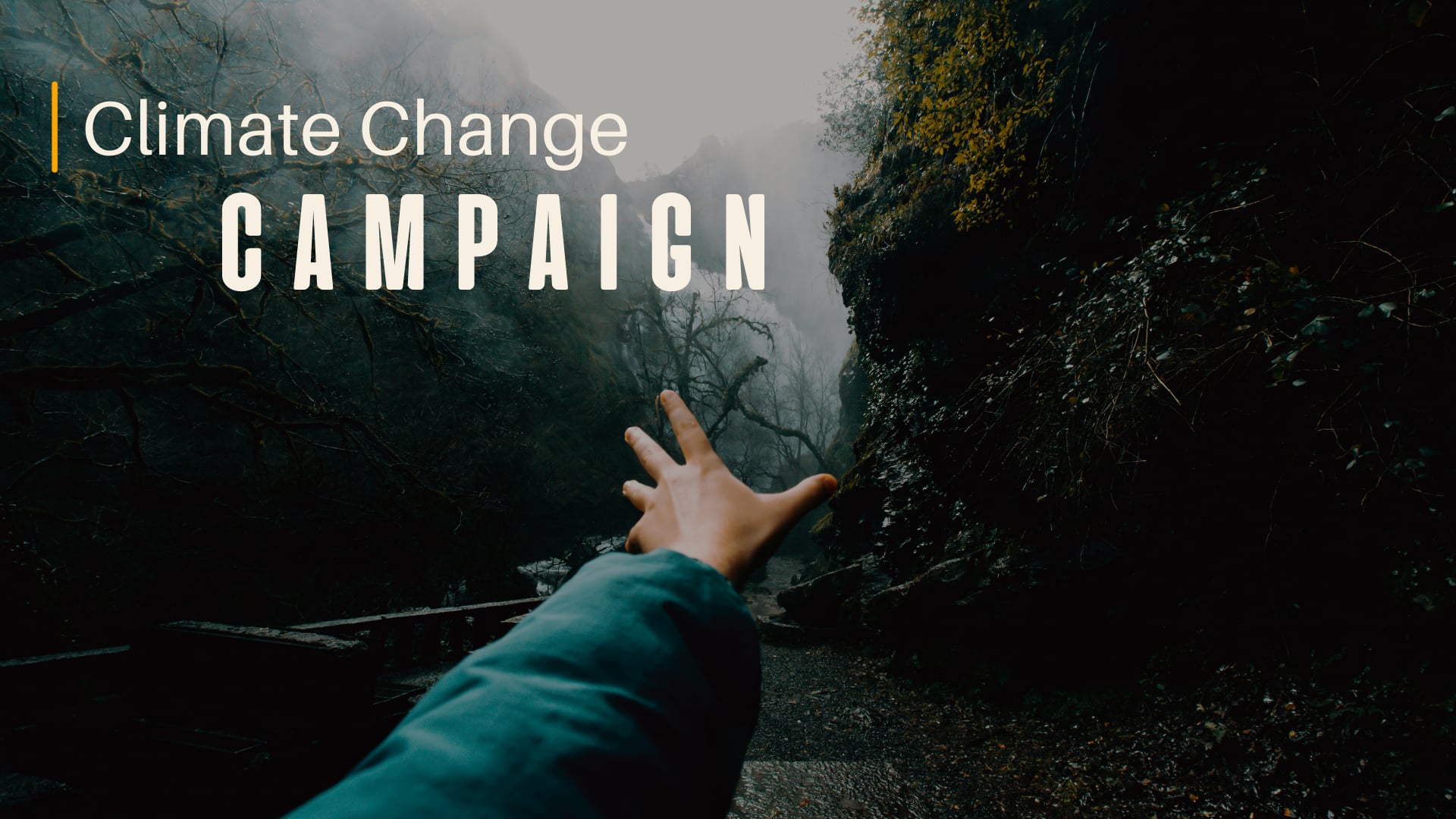 Climate change campaign