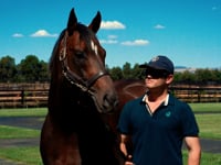 Alabama Express introduces his first crop of weanlings