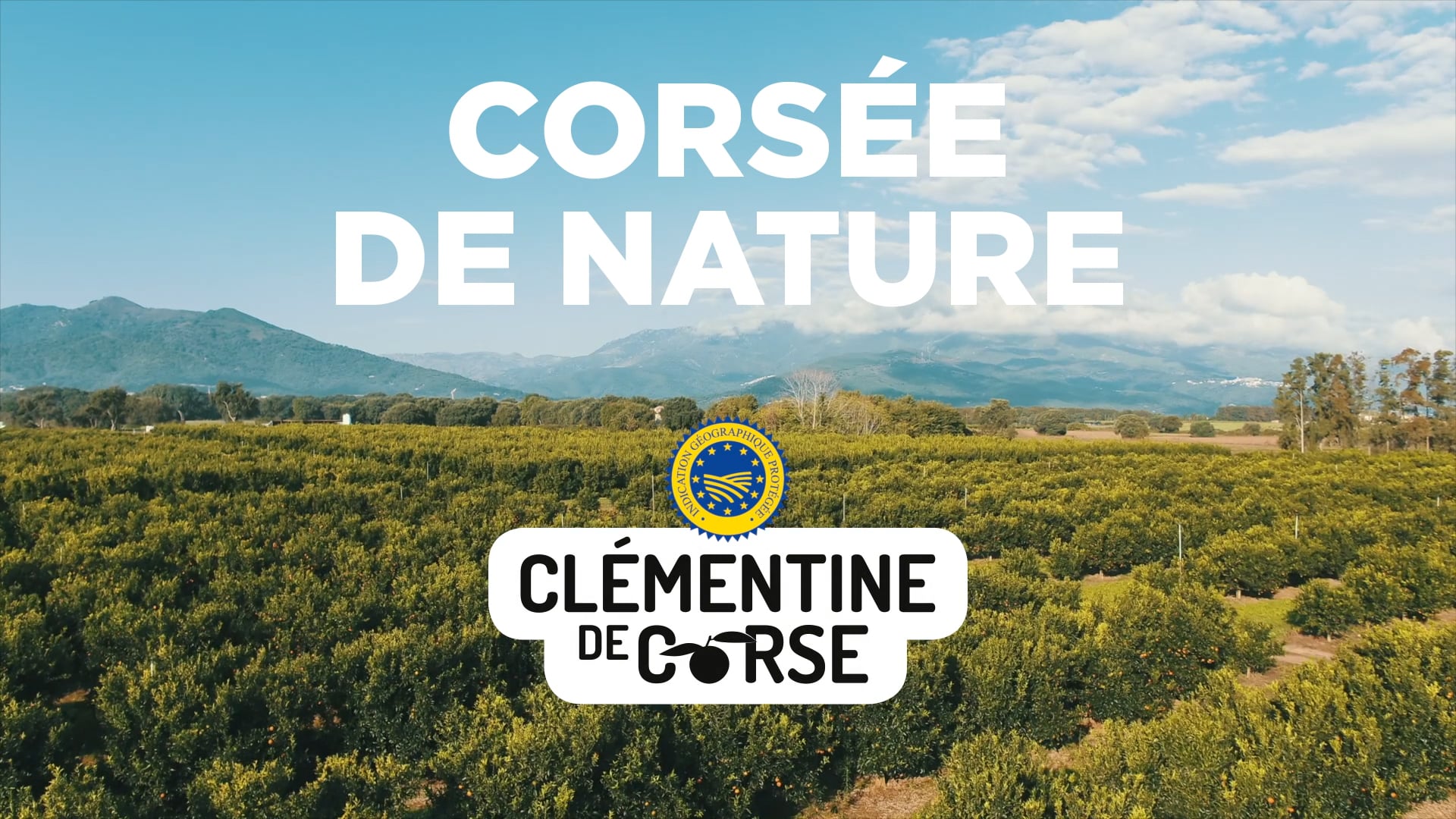 Creative-Story_Pub-clementines.mp4