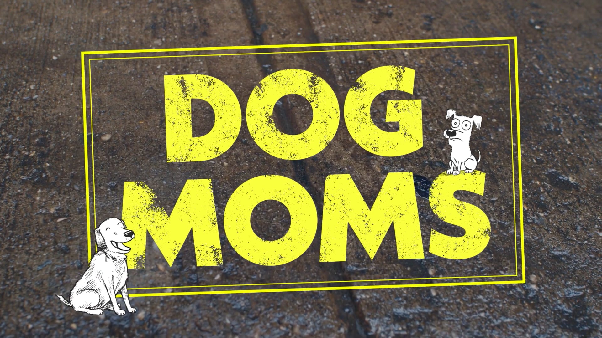 BarkBox - Dog Moms (Thank F#$% for Dogs)