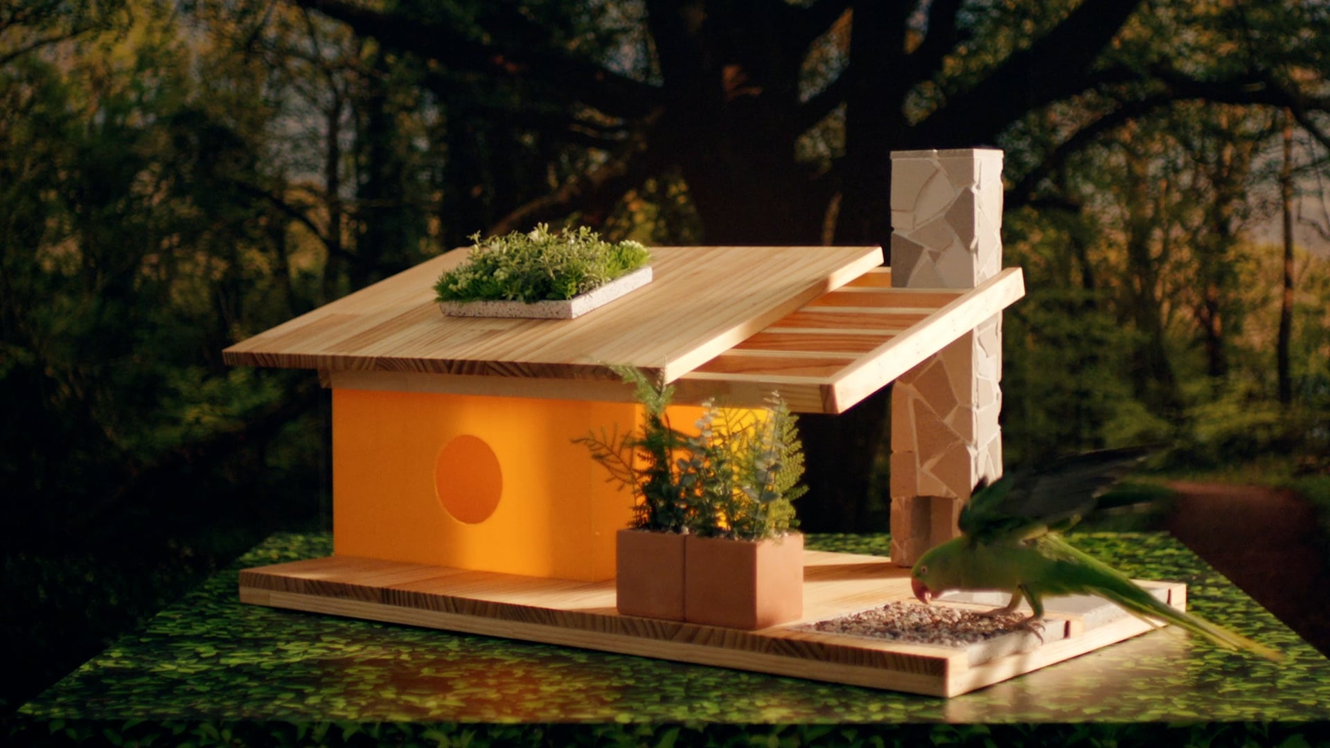 Optus Business Plus | TVC