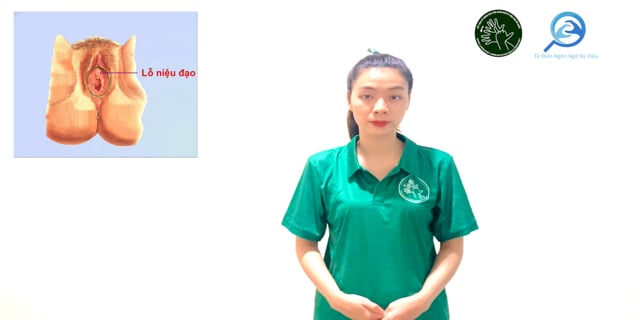 lo-nieu-dao-trong-nu-7631