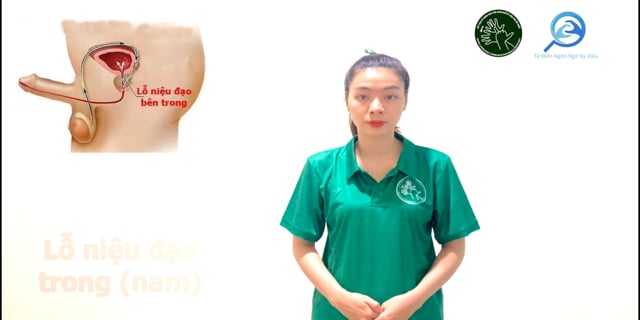 lo-nieu-dao-trong-nam-7630
