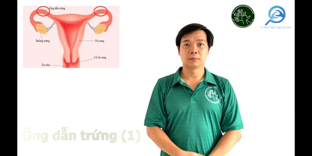 ong-dan-trung-1-7660