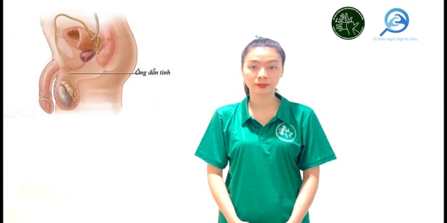 ong-dan-tinh-7659