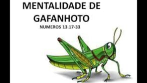 Cuidado com a Síndrome do Gafanhoto! 