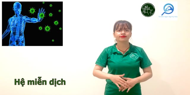 he-mien-dich-7599