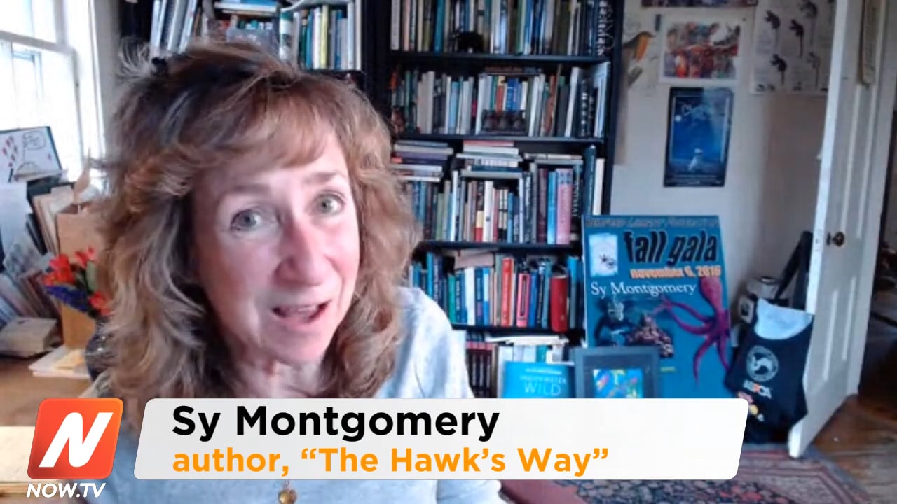 Sy Montgomery on "The Hawk's Way" on Vimeo