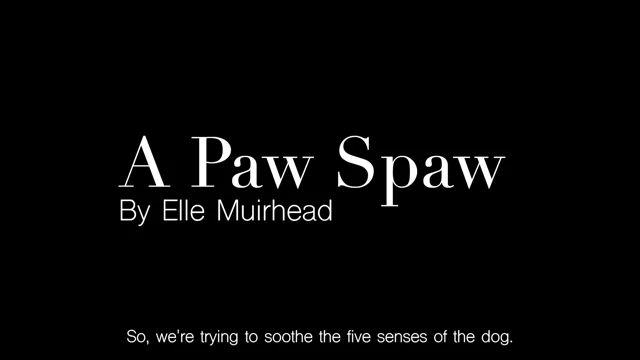 Spaw paw sales