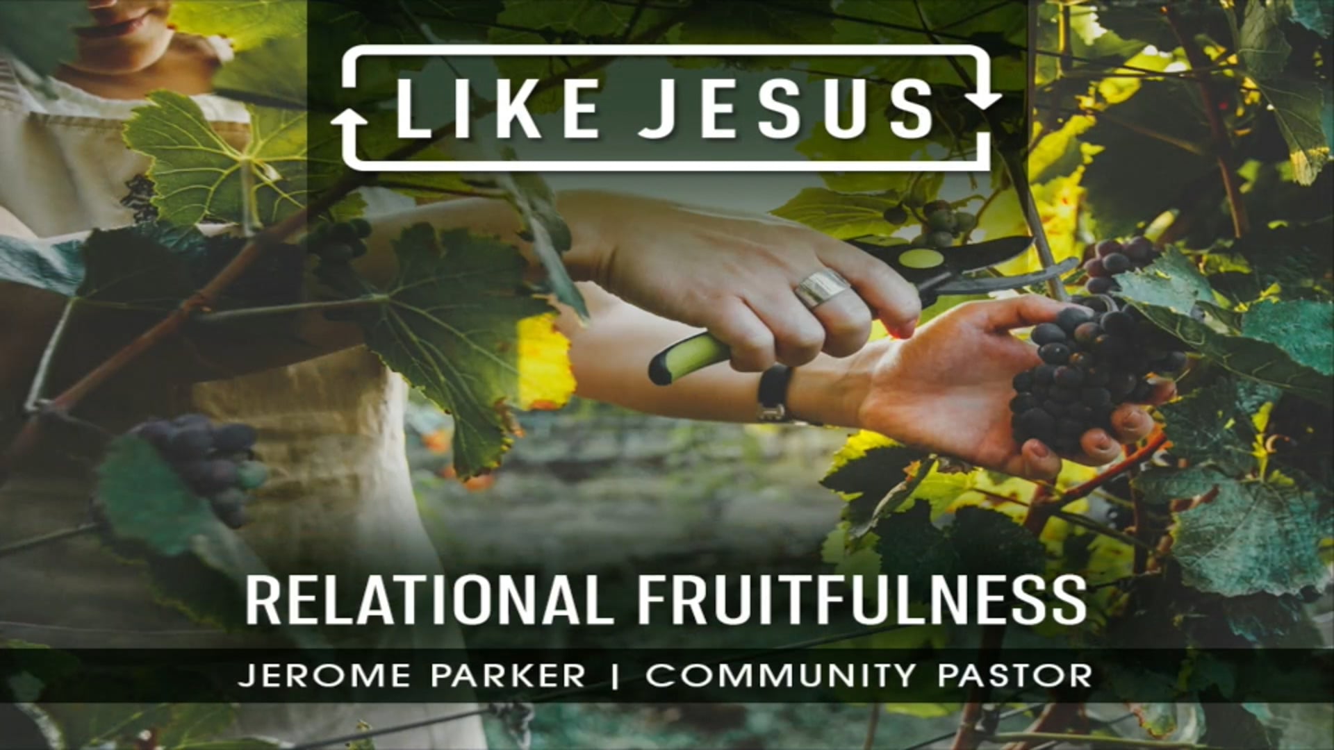 Relational Fruitfulness