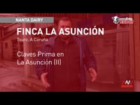 Claves Prima en La Asunción (II)