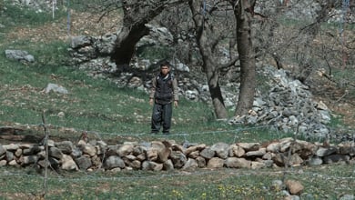 Seyed Payam Hosseini