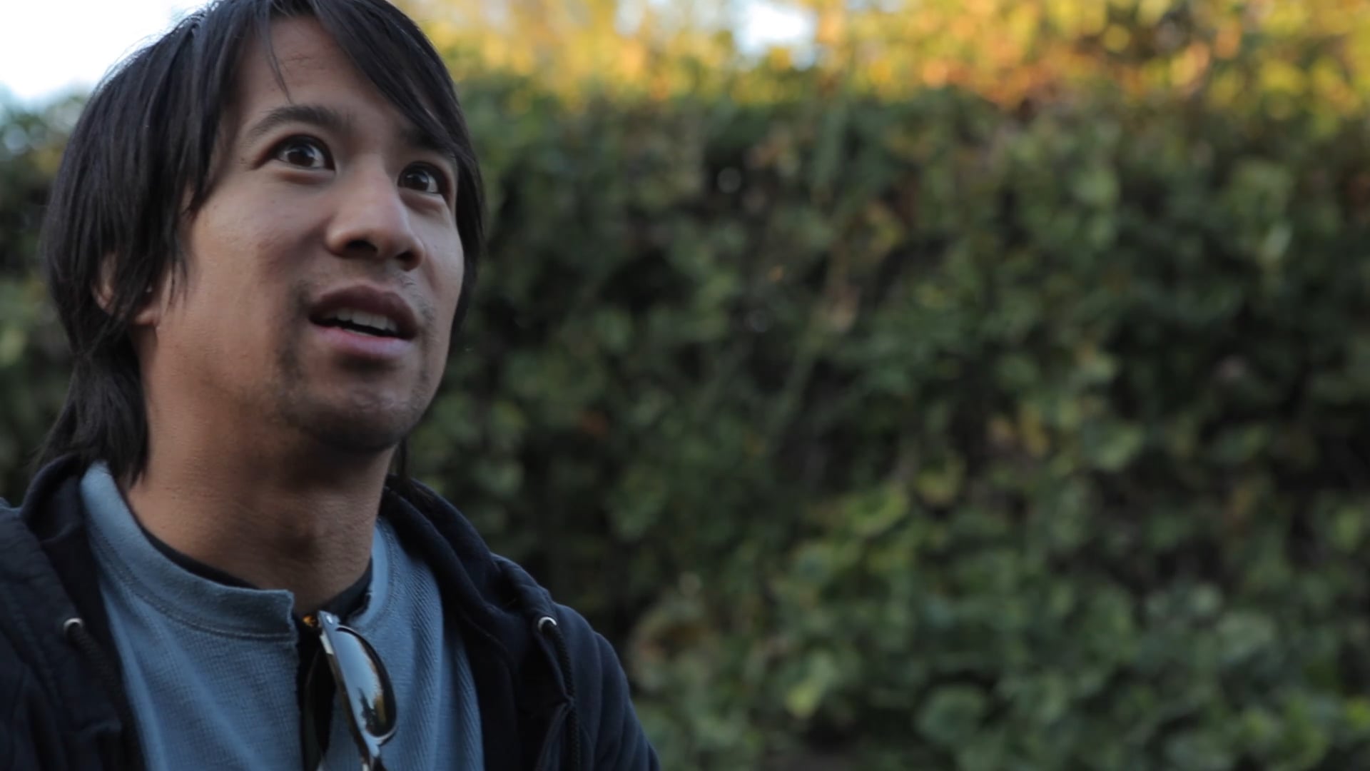 Quiet Hounds Opening Teaser