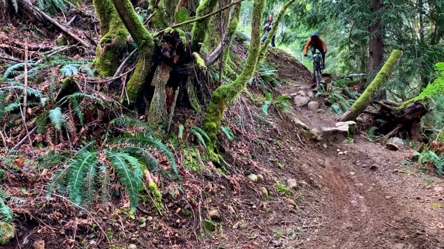 tiger mountain enduro