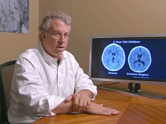 Is "Therapy" Really The Gold Standard?-National Council for Mental Wellbeing Keynote, Prof. Bruce Perry, MD, PhD, PhD.