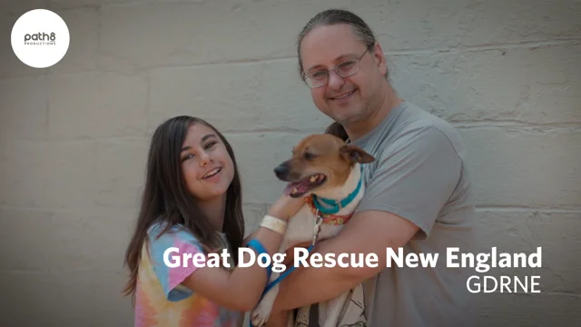 Great store dog rescue