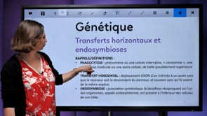 video : transferts-horizontaux-et-endosymbiose-3495