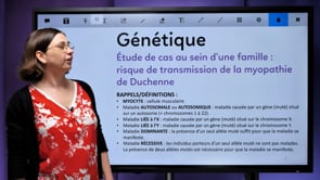 video : etude-de-cas-risque-de-transmission-de-la-myopathie-de-duchenne-3494