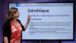 video : accidents-meiotiques-et-evolution-3493