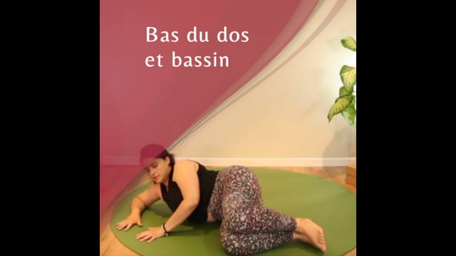 Yoga prénatal - Bas du dos et bassin