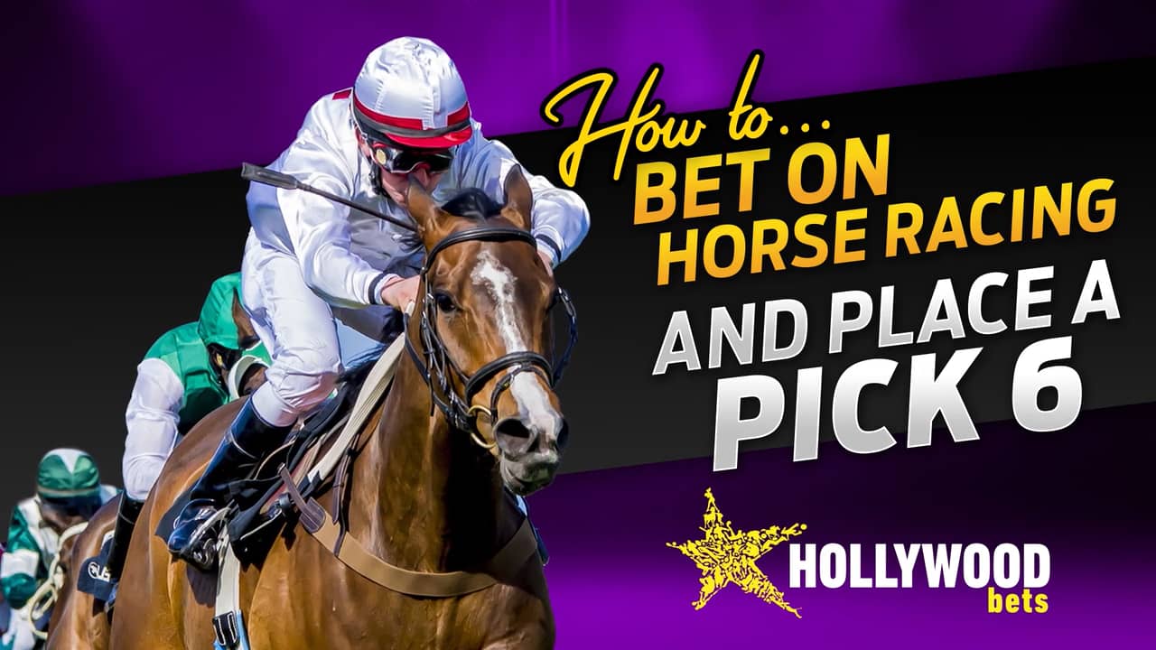 how-to-bet-on-horse-racing-and-place-a-pick-6-with-hollywoodbets-on-vimeo