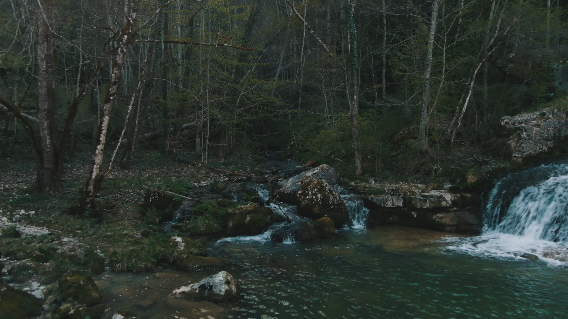 Saut du Day