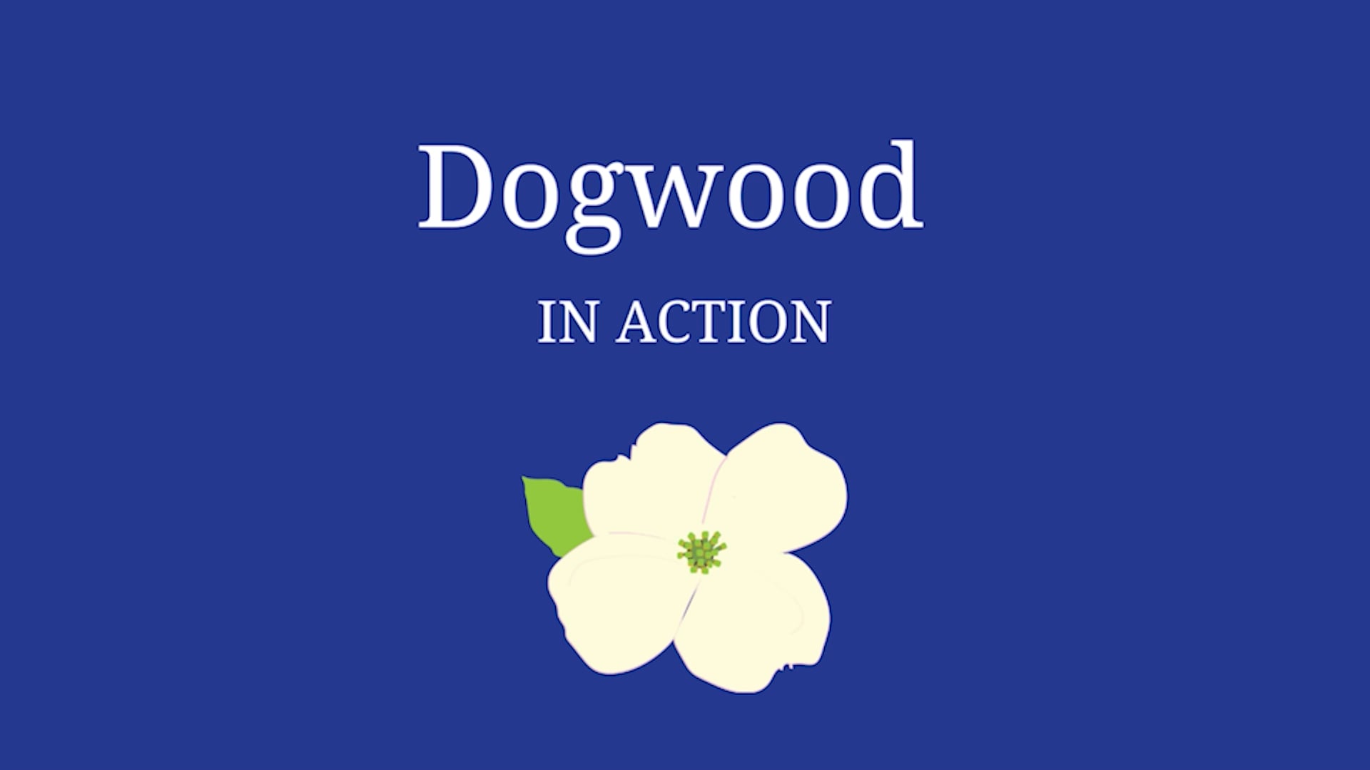 Dogwood in Action