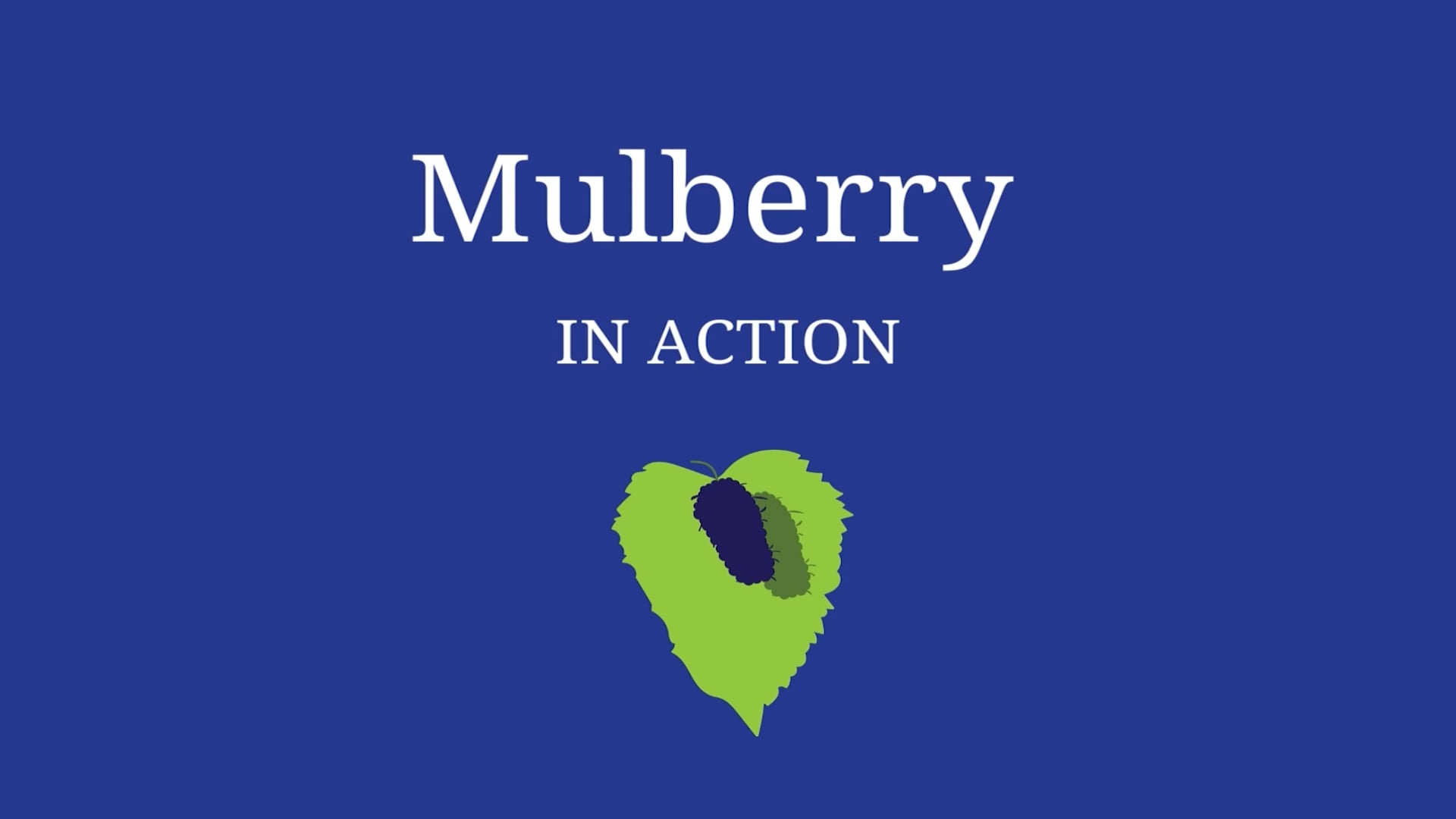 Mulberry in Action